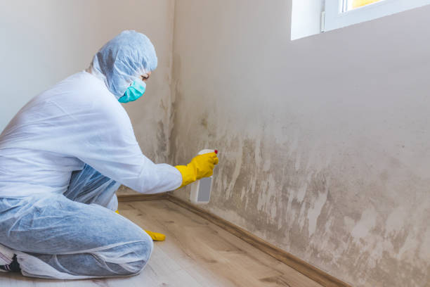 Forensic Mold Investigation in Redland, TX