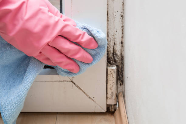 Best Forensic Mold Investigation  in Redland, TX